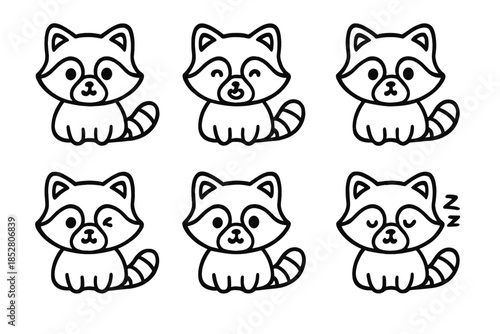 Cute Raccoon Characters with Different Expressions