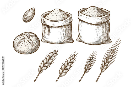 Baking Ingredients and Bread Sketch
