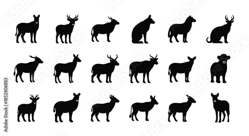 Collection of animal silhouettes on white background vector