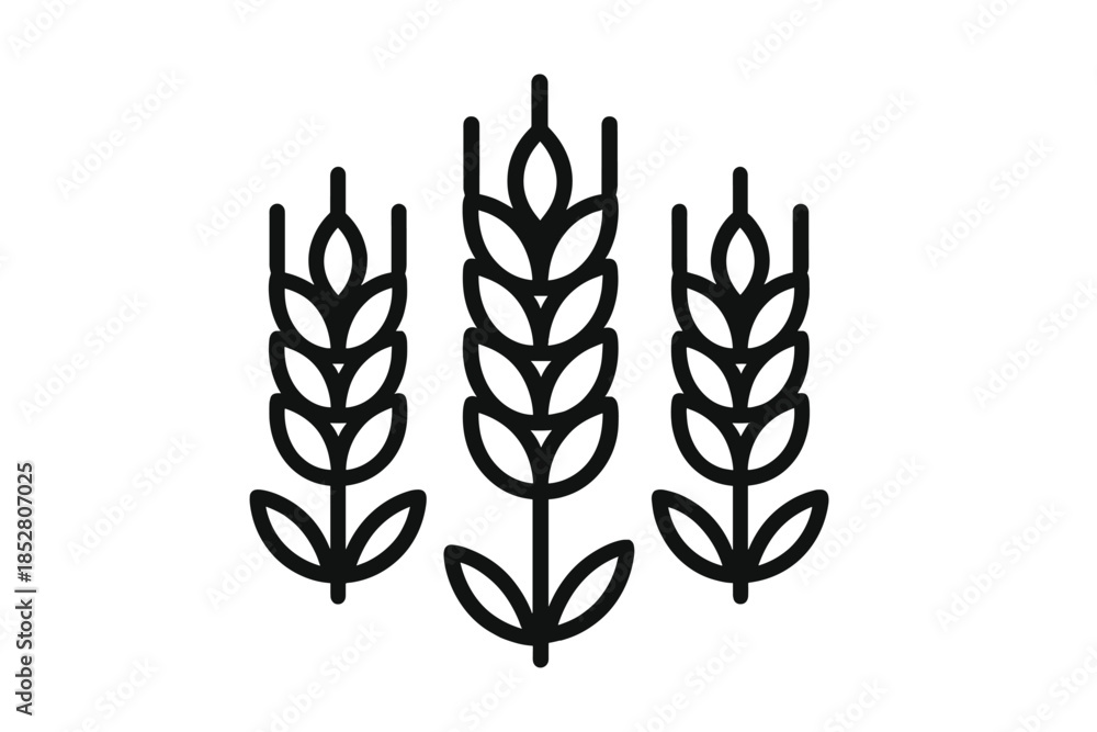 Obraz premium Three stalks of wheat against a dark gradient background