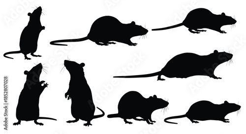 Eight black rat silhouettes on white background vector