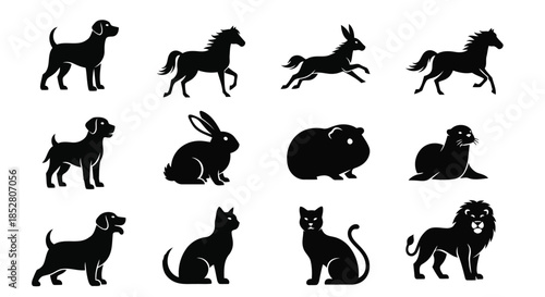 Collection of animal silhouettes on white background vector