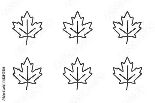 Six Canadian Maple Leaves on a Dark Background