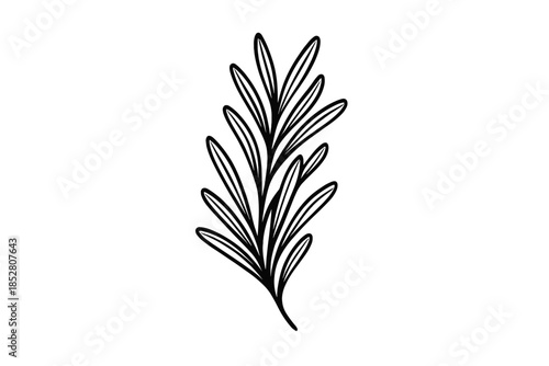 Black outline of rosemary sprig on a grey gradient background