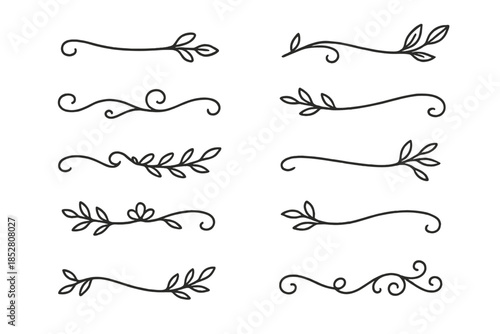 Collection of Decorative Flourishes and Swirls with Leaves