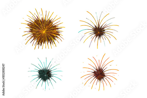 Four Colorful Fireworks Explosions Against a Dark Background
