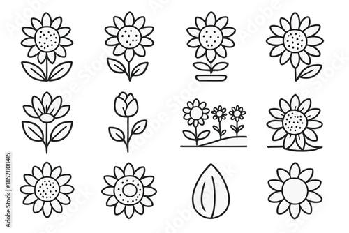 Sunflower Icon Set