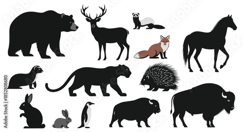 Vector silhouettes of various animals on white background