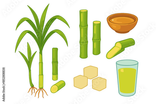 Sugarcane products and ingredients