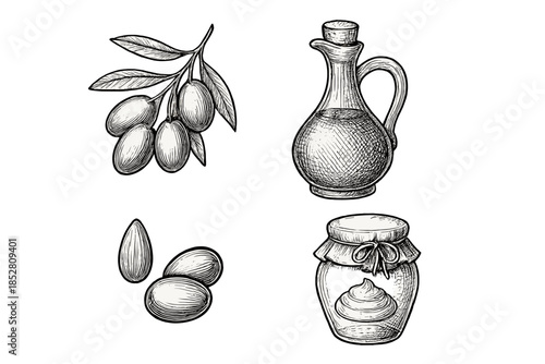 Hand-drawn olive branch, olive oil, and almond nuts