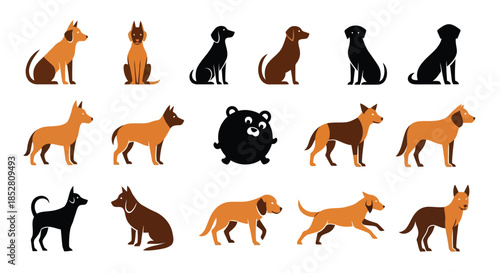 Collection of various dog breeds and a bear in different poses on a white background vector