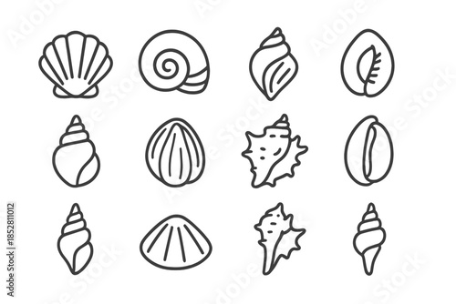 Collection of Outline Seashell Icons on Dark Background
