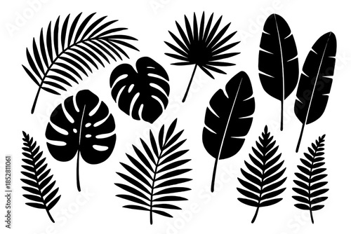Black tropical leaves silhouette on a grey gradient background