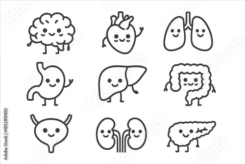 Cute Cartoon Human Organs
