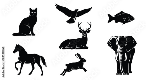 Collection of animal silhouettes on white background vector