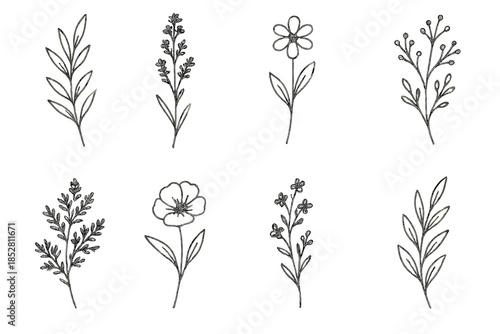 Botanical Line Art Collection on Dark Gradient Background