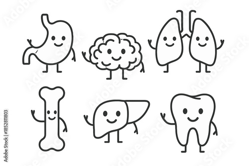 Cute Cartoon Human Organs Characters