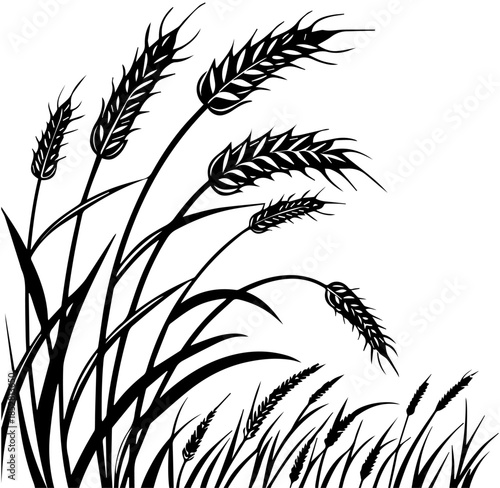Silhouette of Wheat Ears and Grass Field Agriculture Concept Vector