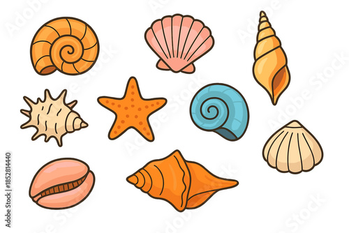 Collection of colorful seashells and starfish on a textured background