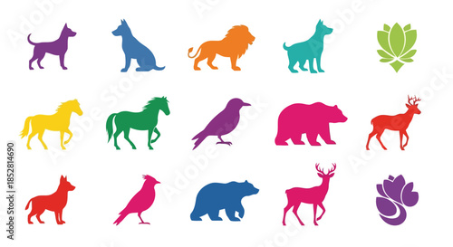 Colorful animal silhouettes on white background vector