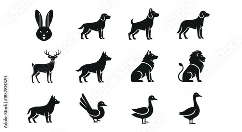 Black silhouettes of various animals on white background vector