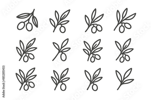 Olive branches with olives pattern