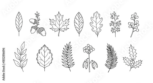 Collection of various leaves and plants on white background vector