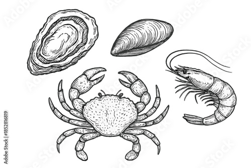 Seafood still life illustration