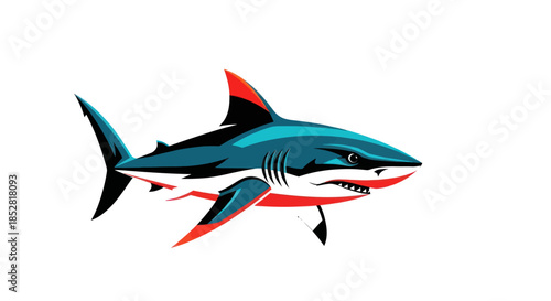 Stylized shark illustration against a white background for design projects