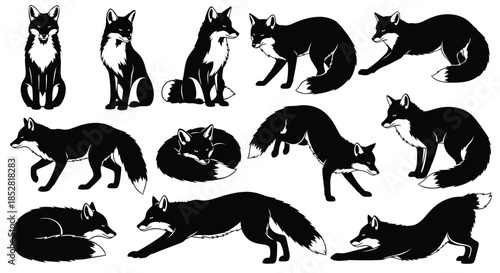 Collection of black and white fox illustrations on white background vector