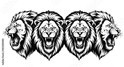 Four black and white lion heads with open mouths on white background vector
