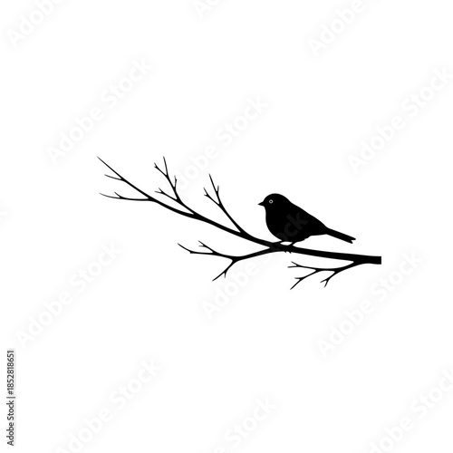 Bird perched on a branch isolated on transparent background