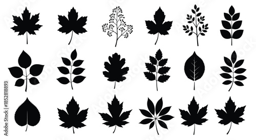 Collection of black leaf silhouettes on white background vector