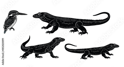 Black and white illustration of a bird with lizards on white background vector