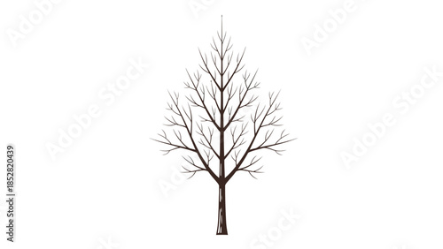 Bare tree silhouette against a white background