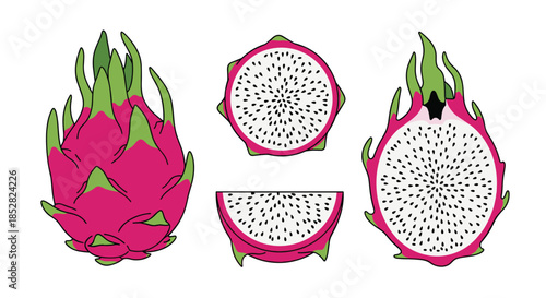 Set of whole and sliced pink dragon fruit illustrations with white flesh and black seeds isolated on a white background.