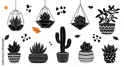 Black and white silhouettes of various potted succulents, cacti, and hanging terrariums for a botanical decor theme.