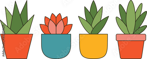 Colorful Potted Succulents in a Row