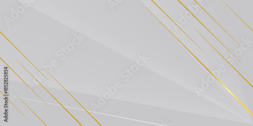 luxury white and grey with golden lines background. vector illustration.