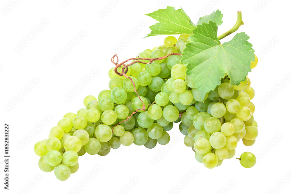 Obraz premium Bunch of green grapes isolated