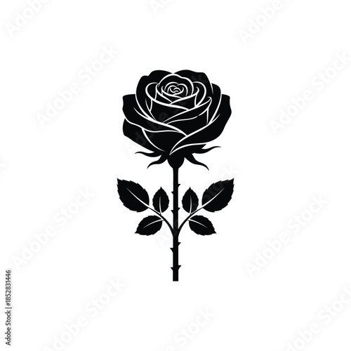 Black rose silhouette isolated on white background, Vector, illustration