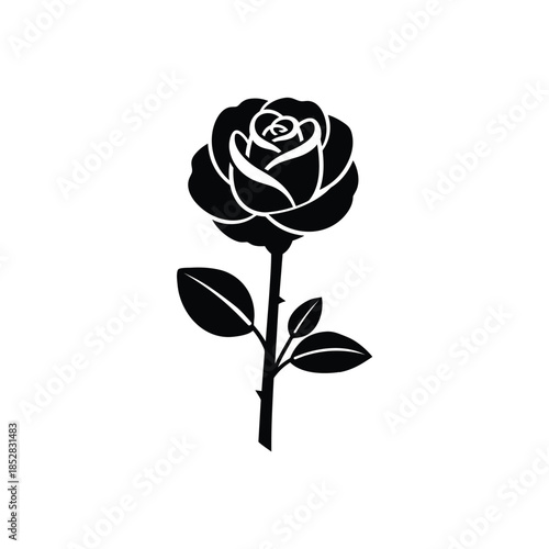 Single black rose isolated on white background, Vector, illustration