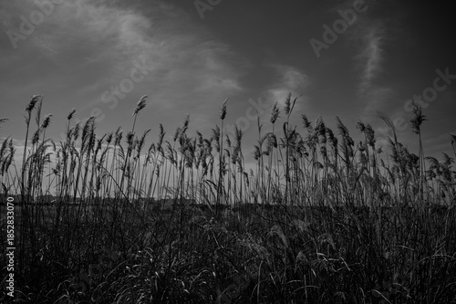 Wallpaper Mural 영종도 풍경  Torontodigital.ca