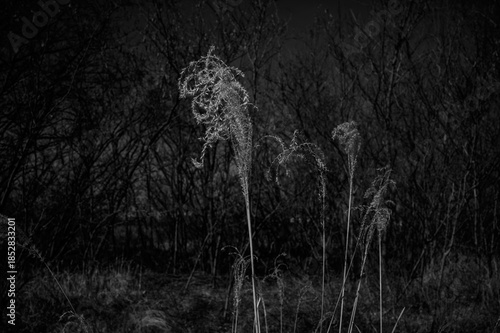 Wallpaper Mural 영종도 풍경  Torontodigital.ca