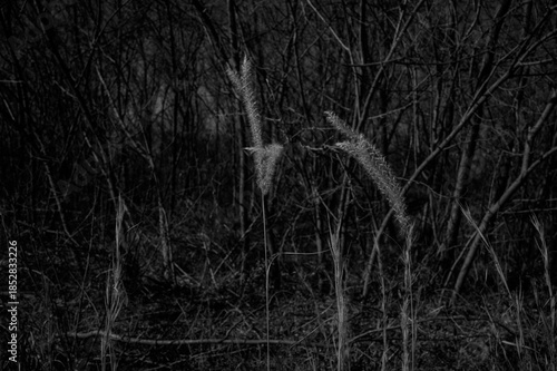 Wallpaper Mural 영종도 풍경  Torontodigital.ca