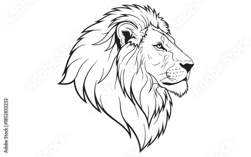 lion head vector illustration