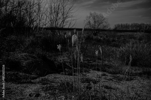 Wallpaper Mural 영종도 풍경  Torontodigital.ca