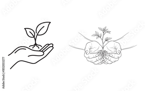 Hand Holding Plant Sprout Vector