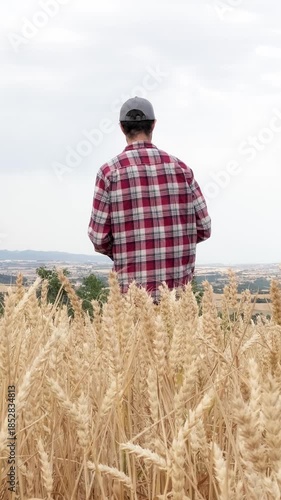 Agronomist farmer using tablet in wheat field