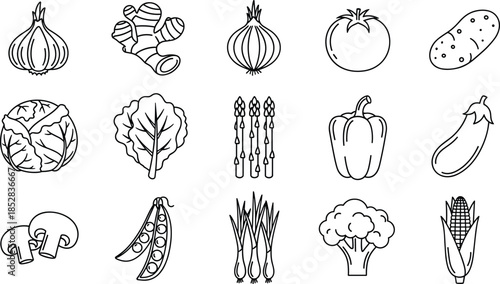 Vegetable, food, nutrition, icon, vector, black, line art, garlic, onion, tomato, potato, cabbage, lettuce, corn, broccoli, mushroom, illustration